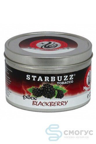 Купить табак для кальяна Starbuzz blackberry dream в спб