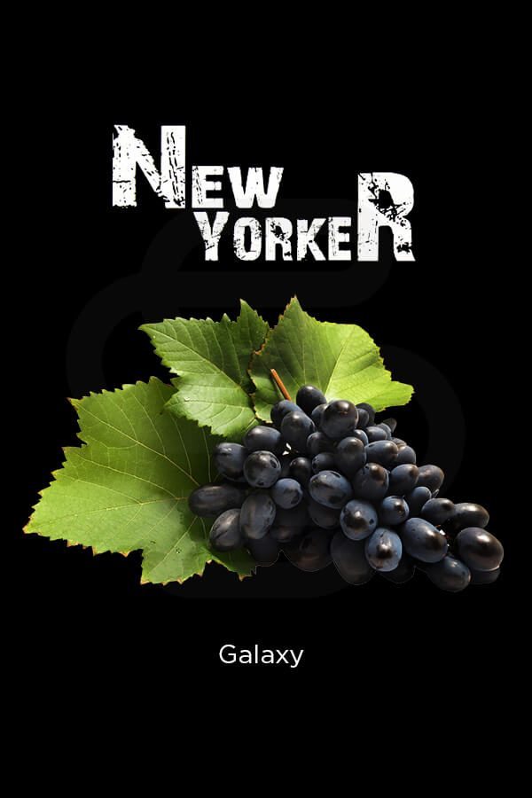 Купить табак New Yorker Galaxy (Черный виноград) в СПб